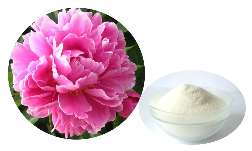 Peony seed oil powder
