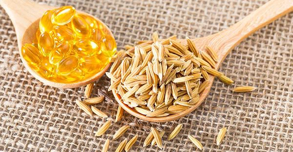 Gamma Oryzanol Gamma Oryzanol