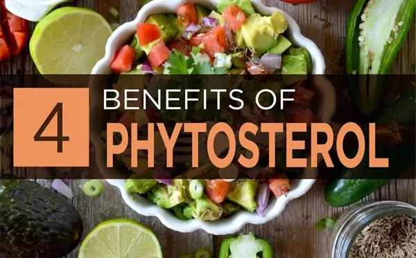 Phytosterol