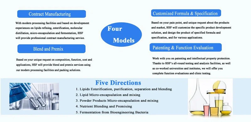 DeePPDTM Service-2
