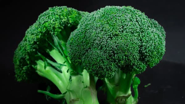 Broccoli Extract
