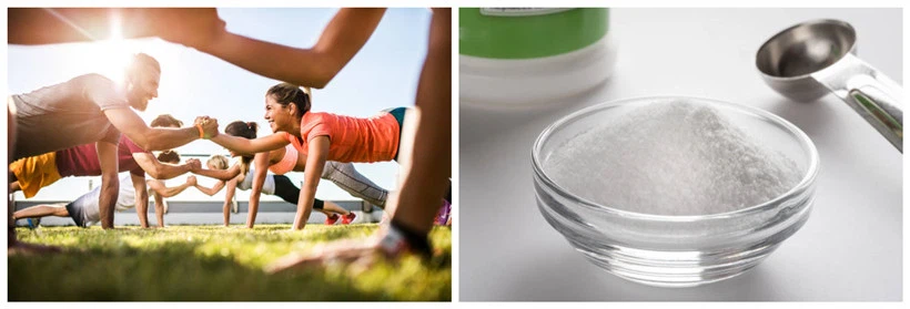 L-Carnitine & sports performance L-Carnitine & sports performance