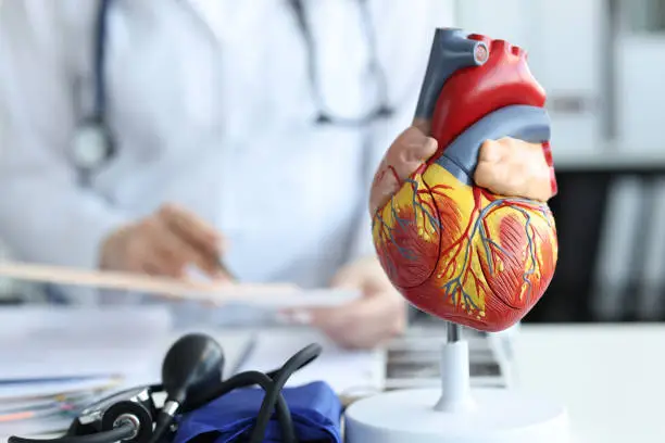Ce efect au sterolii de pin asupra sistemului cardiovascular