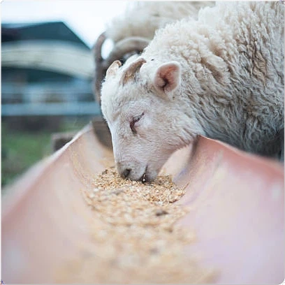 page-408-408 page-408-408